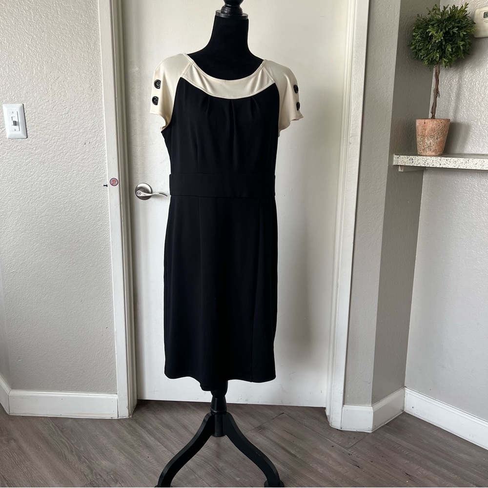 Spense Women’s Short Sleeve Round Neck Knee Lenght Dress Black and Ivory Size 12